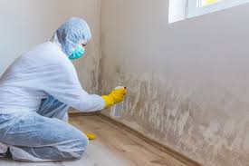 Attleboro, MA Mold Removal Services Company